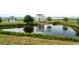 Scenic view of a waterfront house, complemented by a serene pond and lush vegetation at 1716 Cravens St., Georgetown, SC 29440