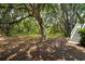 Large yard with mature trees and natural landscape at 214 Sea Island Dr., Georgetown, SC 29440