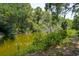 Scenic view of a tranquil pond surrounded by lush greenery and trees at 214 Sea Island Dr., Georgetown, SC 29440