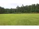 A large expanse of well-maintained green lawn, bordered by a dense forest of trees at 797 Salerno Circle # C, Myrtle Beach, SC 29579