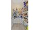 Well-organized pantry with ample shelving for storage at 131 Crabapple Dr., Longs, SC 29568