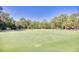 Well-manicured golf course green with scattered golf balls and a flag under a clear blue sky at 1550 Spinnaker Dr. # 3123, North Myrtle Beach, SC 29582