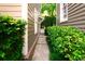 Manicured side yard with a paved walkway and lush bushes providing privacy at 203 Broad St., Georgetown, SC 29440