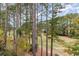 Scenic view of mature trees and landscaping from a high vantage point offers natural beauty at 5750 Oyster Catcher Dr. # 531, North Myrtle Beach, SC 29582