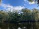 Picturesque view of a serene lake surrounded by tall trees and a blue sky, showcasing the tranquil natural beauty at 123 Westfield Circle, Conway, SC 29526
