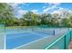 Community pickleball courts with well-maintained surfaces and nets, perfect for active recreation and social gatherings at 213 Westleton Dr. # 16B, Myrtle Beach, SC 29572