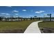 Community pool and walkway with green landscape at 3575 Ashridge Way, Conway, SC 29526