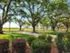 Trees along the path in a beautiful park with natural light at 104 East Bay St., Georgetown, SC 29440