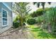 An inviting backyard with greenery, trees, and partial view of the side of the house at 109 Butkus Dr. # 2-1, Myrtle Beach, SC 29588