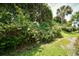 A lush backyard featuring trees, grass, and other greenery at 109 Butkus Dr. # 2-1, Myrtle Beach, SC 29588