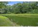 Scenic pond surrounded by lush greenery and mature trees, creating a tranquil and private backyard oasis at 1731 Lee Ln., Longs, SC 29568