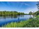 Expansive lake view surrounded by lush greenery, providing a serene and picturesque backdrop for relaxation and recreation at 204 Rose Water Loop # 204, Myrtle Beach, SC 29588