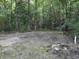 Overgrown backyard with large trees and sparse vegetation, ready to be cleared and landscaped at 205 S Oliver Blvd., Hemingway, SC 29554