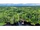 Breathtaking aerial shot of lakefront property surrounded by lush greenery at 3231 Center Rd., Georgetown, SC 29440
