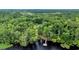 Aerial shot of a lakeside property surrounded by mature trees at 3231 Center Rd., Georgetown, SC 29440