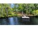 Aerial view of a private dock on a lake surrounded by lush trees at 3231 Center Rd., Georgetown, SC 29440