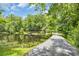 Scenic view of pond with lily pads, and a wooded landscape, creating a tranquil and picturesque setting at 3231 Center Rd., Georgetown, SC 29440