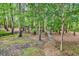 Lush, mature trees create a secluded natural haven, perfect for nature lovers and tranquil escapes along meandering boardwalk at 6161 Inman Circle, Conway, SC 29526