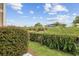 Lush backyard featuring neatly trimmed hedges and greenery, creating a private and serene outdoor space at 2504 Heritage Loop # 2504, Myrtle Beach, SC 29577