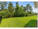Large, well-maintained backyard with lush green grass and mature trees at 4555 Weekly Dr, Myrtle Beach, SC 29579