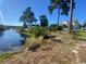 Backyard view with lake access, mature trees, and natural surroundings, creating a serene outdoor setting at 493 Emerson Dr., Myrtle Beach, SC 29579