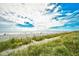Picturesque beach view featuring natural dunes, sea oats, and a vast ocean horizon at 1207 S Ocean Blvd. # 50809, Myrtle Beach, SC 29577