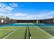 Outdoor pickleball court with lush green and blue surface at 3027 Deerberry Place, Longs, SC 29568