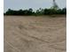 Expansive vacant land is ready for development with great soil, and some mature trees at 3200 Fowler School Rd., Loris, SC 29569