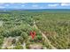 Aerial view of a home site within a dense forest setting at 5114 Cowart Ct., Murrells Inlet, SC 29576