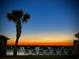 Tranquil poolside view featuring a palm tree and comfortable seating against a sunset backdrop at 5905 S Kings Hwy. # 206A, Myrtle Beach, SC 29575