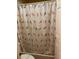 Bathroom view shows a shower with bird patterned curtain at 770 Charter Dr. # C4, Longs, SC 29568