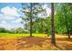 Green home with a red storage building on a large lot offers a serene and private setting surrounded by mature trees at 1013 Happy Ln., Galivants Ferry, SC 29544