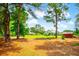 Green home with a red storage building on a large lot surrounded by lush greenery and mature trees at 1013 Happy Ln., Galivants Ferry, SC 29544