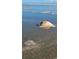 Close-up of a seashell on a sandy beach with ocean waves in the background at 226 Ladyfish Loop, Sunset Beach, NC 28468
