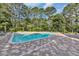 Private in-ground pool with a large patio area surrounded by mature trees at 4232 Pointer Ct., Myrtle Beach, SC 29579
