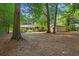 Lush backyard with shed, deck, gardening area, and plenty of privacy at 8506 Old Nichols Hwy., Nichols, SC 29581