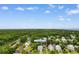 Beautiful aerial view of 141 Cayman Loop nestled in a lush, green neighborhood near the ocean at 141 Cayman Loop, Pawleys Island, SC 29585