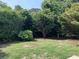 Lush backyard with mature trees and shrubs offers privacy, a bird bath, and tranquil outdoor living at 1432 Seahouse Ct., Surfside Beach, SC 29575