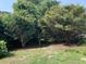 An enchanting backyard with mature trees, offering a shaded retreat and relaxing outdoor space at 1432 Seahouse Ct., Surfside Beach, SC 29575