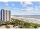Stunning oceanfront view with a pristine beach, palm trees, and clear blue skies at 2001 S Ocean Blvd. # 815, Myrtle Beach, SC 29577