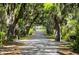 Scenic street lined with moss-draped trees leading to a charming home with a manicured lawn at 346 Tuckers Rd. # A, Pawleys Island, SC 29585