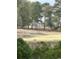 Scenic view showcasing lush greenery and tranquil setting at 4333 Oakwood Circle, Little River, SC 29566