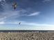 Seagulls frolic on the beach under a blue sky, capturing a serene coastal moment at 6015 Catalina Dr. # 732, North Myrtle Beach, SC 29582