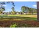 Scenic view of the golf course at a home in a golf community with mature trees and well-maintained green at 820 Fairway Dr. # 1502Hh, Longs, SC 29568