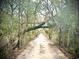 Dirt road, perfect for long walks in a natural landscape setting at 95 Sanderling Ave., Georgetown, SC 29440
