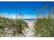 Scenic beach access path framed by lush dune grass, inviting you to enjoy the tranquil ocean views at 207 N Ocean Blvd. # 342, North Myrtle Beach, SC 29582