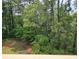 Backyard with wooded scenery at 300-J Myrtle Greens Dr. # J, Conway, SC 29526