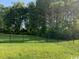 View of the back yard with black metal fencing and line of trees at 387 Blue Rock Dr., Longs, SC 29568