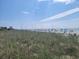 View of the beach with people and colorful umbrellas from the grassy dunes at 5511 Ocean Blvd. N # 805, Myrtle Beach, SC 29577