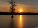 Scenic view of a sunset over the lake, with a silhouette of a tree and calm waters reflecting the golden light at 1571 Breakwater Dr., Little River, SC 29566